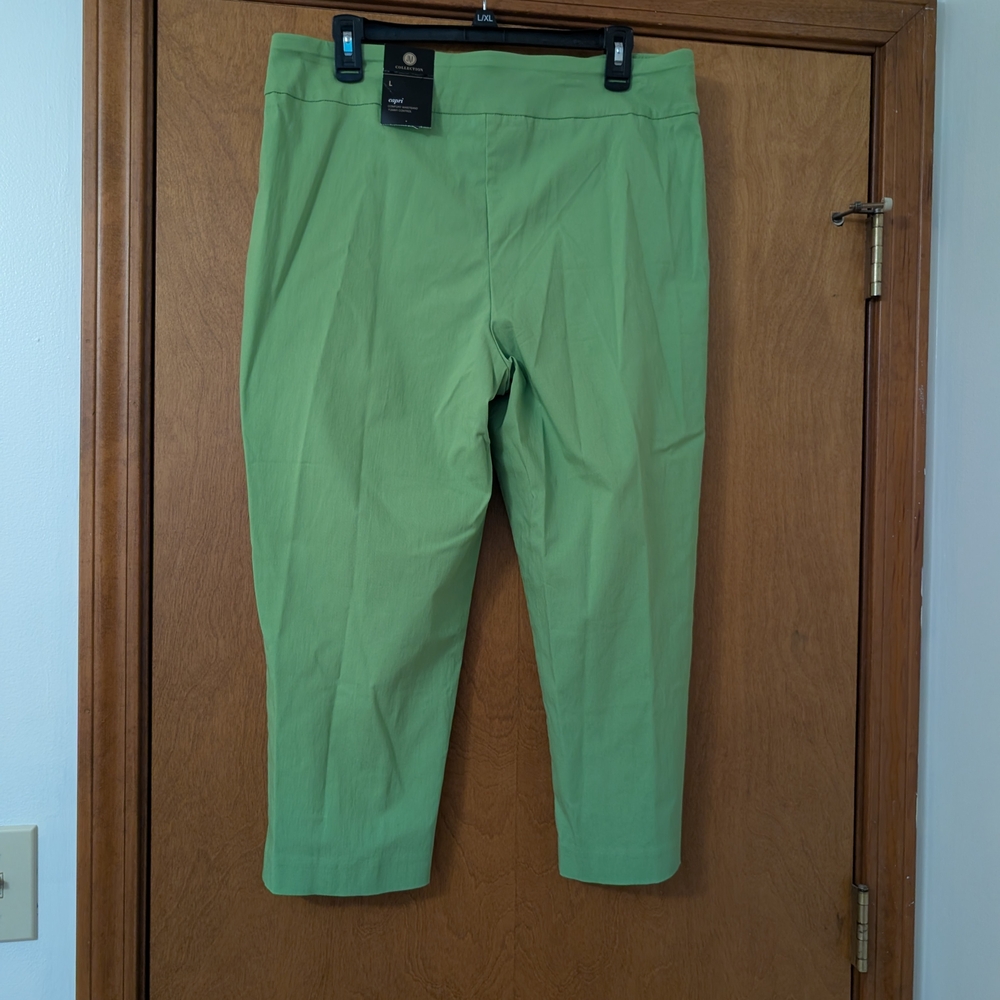 JM Collection Green Capris Pants